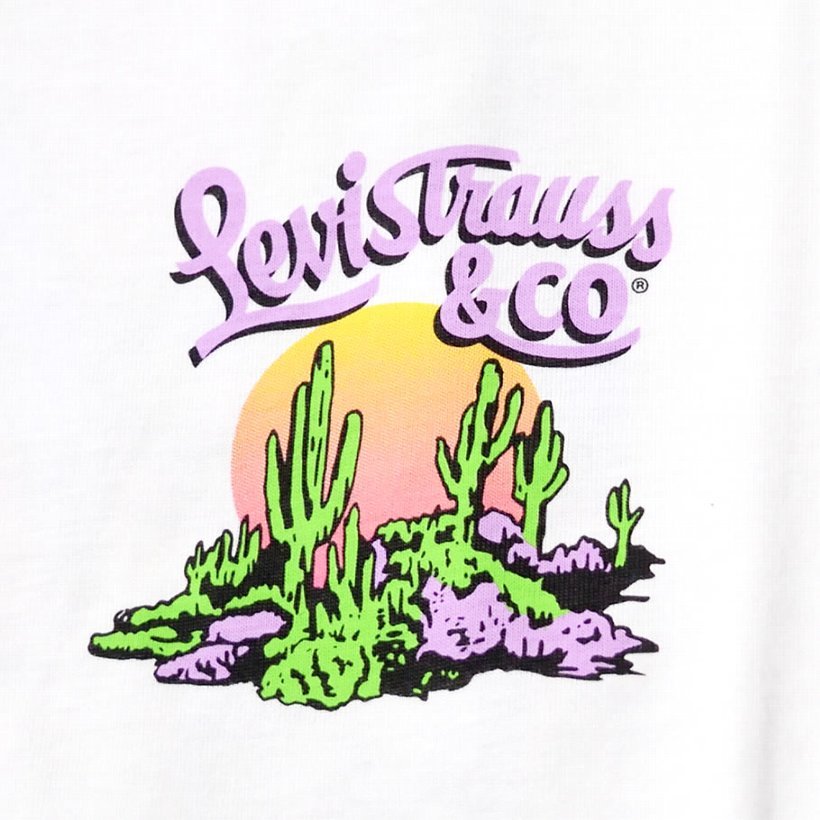 リーバイス プレミアム Tシャツ メンズ 半袖 プリント LEVI'S PREMIUM 22491-0630 大きいサイズ USモデル