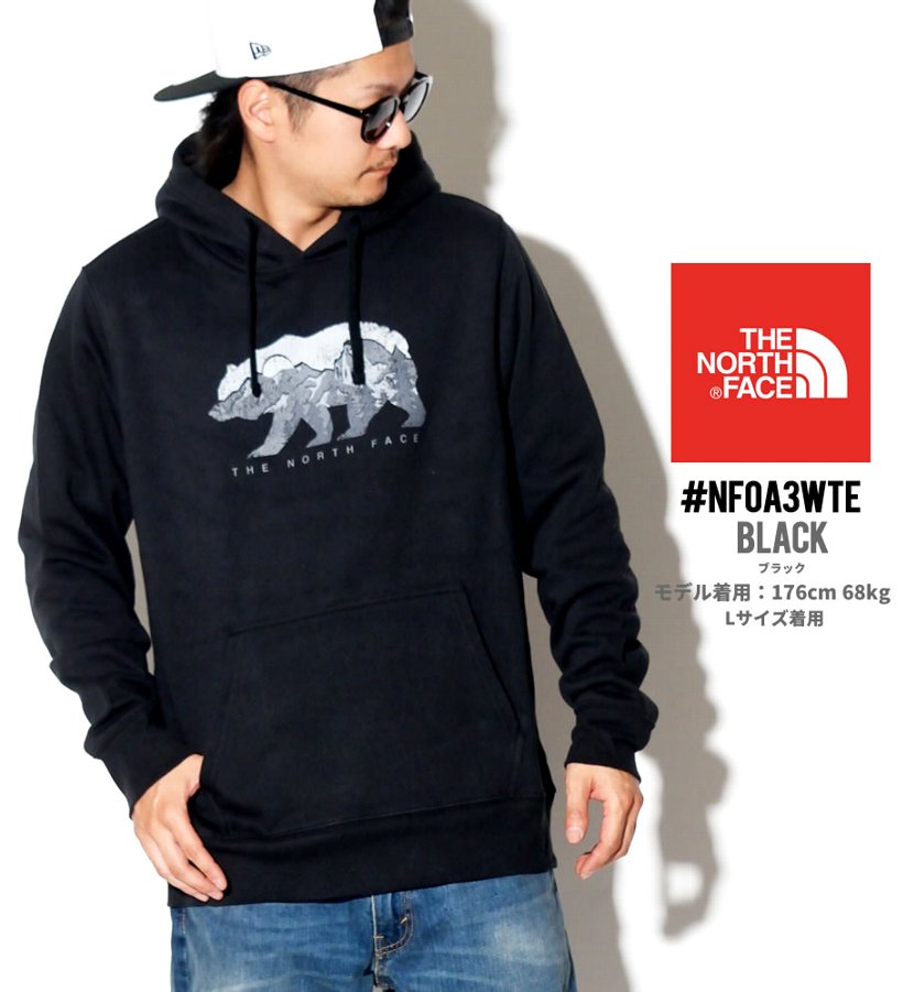 ノースフェイス プルオーバーパーカー メンズ ロゴ プリント THE NORTH FACE NF0A3WTE USモデル