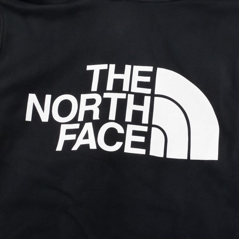ノースフェイス パーカー メンズ ブランド おしゃれ THE NORTH FACE USモデル NF0A4M4D 大きいサイズ 2020春 新作