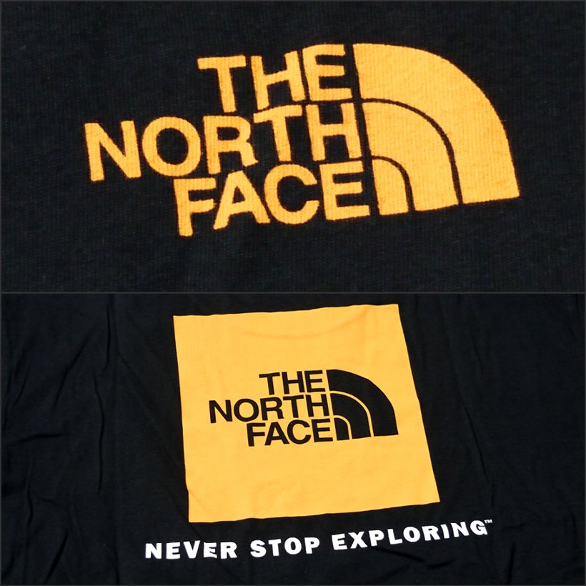 The North Face ザノースフェイス 半袖 Tシャツ メンズ ボックスロゴ Nf00ca0f Nftt006