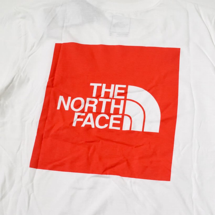 日本未入荷 ノースフェイス Tシャツ メンズ 半袖 BOXロゴ THE NORTH FACE USモデル NF0A4M4R 大きいサイズ 2020春 新作