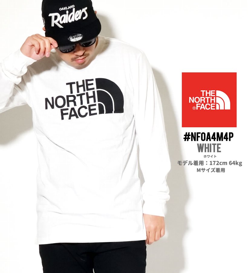 日本未入荷 ノースフェイス Tシャツ メンズ 長袖 ロンT THE NORTH FACE USモデル NF0A4AAK 大きいサイズ 2020春 新作