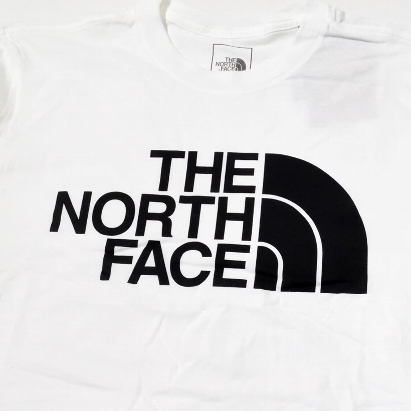 日本未入荷 ノースフェイス Tシャツ メンズ 長袖 ロンT THE NORTH FACE USモデル NF0A4AAK 大きいサイズ 2020春 新作