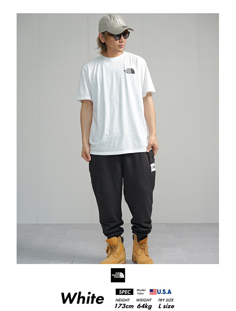 The North Face ザ ノース フェイス Tシャツ メンズ 半袖 レッドボックス ロゴ Redbox Tee Nf0a2tx2