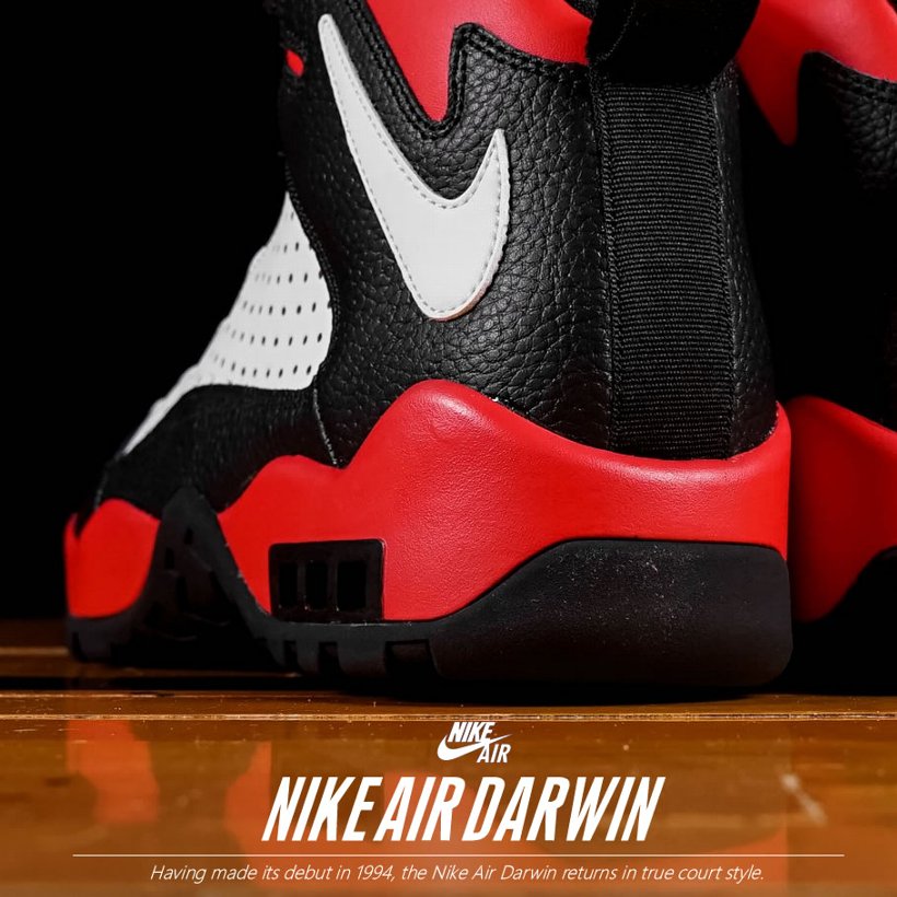 NIKE スニーカー メンズ エアダーウィン Nike Air Darwin AJ9710