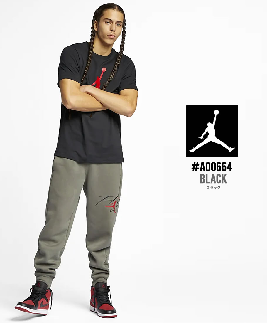 NIKE JORDAN ナイキ ジョーダン Tシャツ メンズ 半袖 AO0664 ストリート系 ヒップホップ ファッション 服 通販