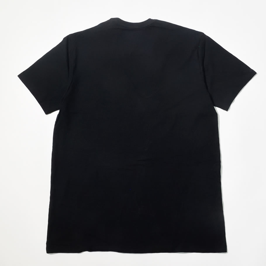 POLO RALPH LAUREN ポロ ラルフローレン Tシャツ メンズ 半袖 PK20SR USモデル