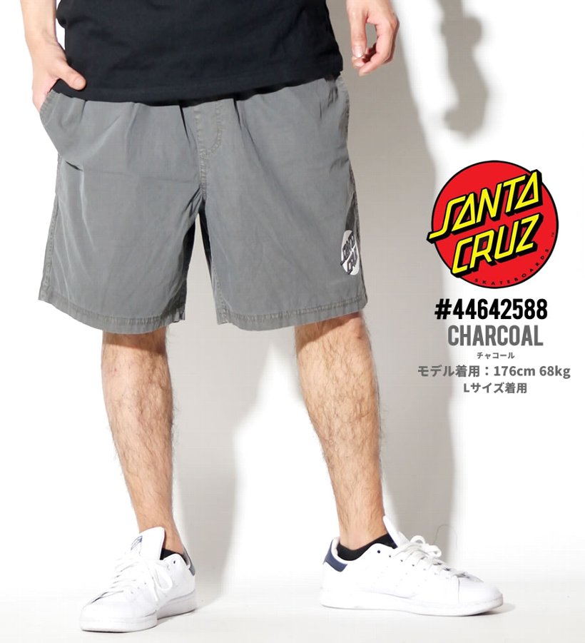 サンタクルーズ 水着 メンズ サーフパンツ SANTA CRUZ 44642588 USモデル 2019春夏 新作