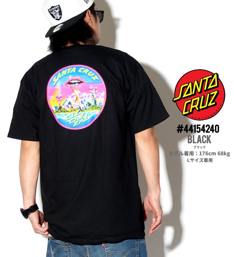 サンタクルーズ Tシャツ メンズ 半袖 SANTA CRUZ 44154240 USモデル 服 通販