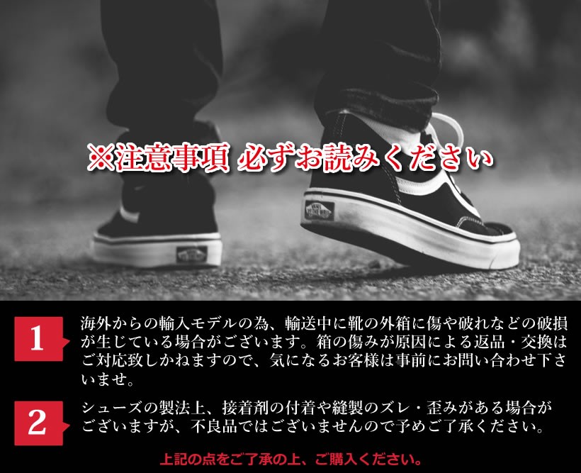 VANS バンズ スニーカー メンズ SK8-HI スケートハイ VN0A3ZCETU5 USモデル